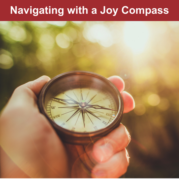 Navigating with a Joy Compass