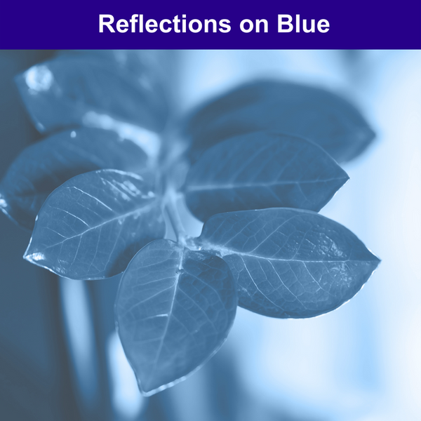 Reflections on Blue